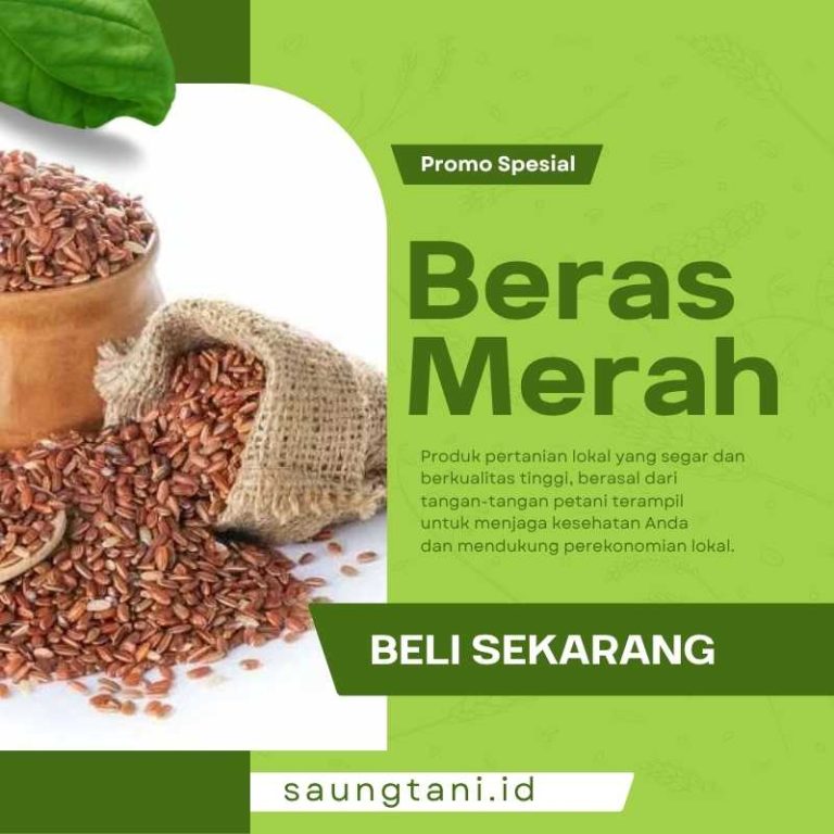 Beras Merah