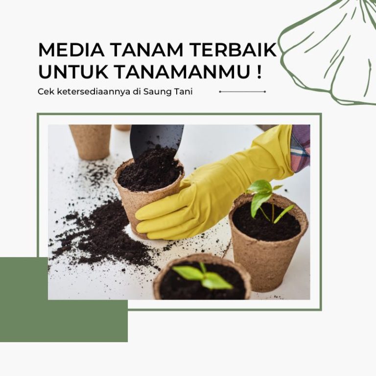 Media Tanam Organik